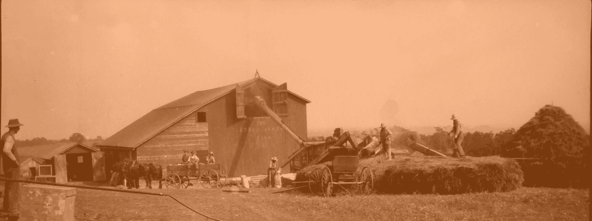 Glass plate of haying in the Spring Grove area.
