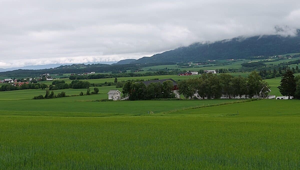 The landscape they left, Byneset in Trøndelag in 2024, is still a green, rural landscape with privately owned small farms. There are no longer cotters' places on the farms, and there have been many mergers, creating more viable units.