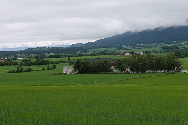 The landscape they left, Byneset in Trøndelag in 2024, is still a green, rural landscape with privately owned small farms. There are no longer cotters' places on the farms, and there have been many mergers, creating more viable units.