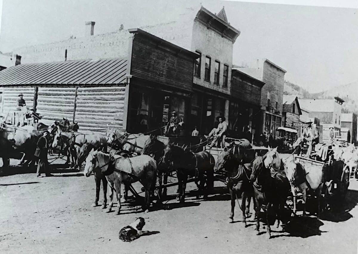 A street scene in Castle, Montana, in the 1880s. Seven wagons with four horses harnessed are waiting in the street with their handlers ready. A dog is resting in the dirt in front of them, ready for action.