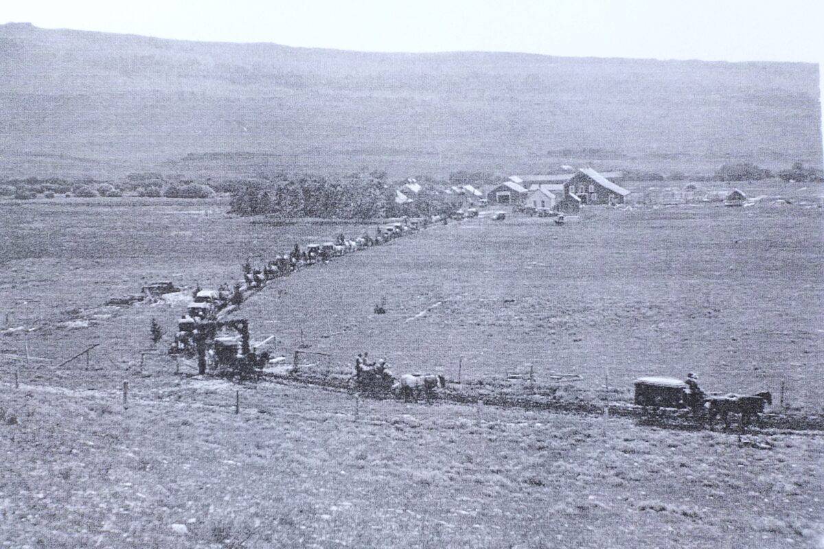 The funeral cortege for Karen Grande in 1914, with more than twenty carriages and several automobiles at the rear.